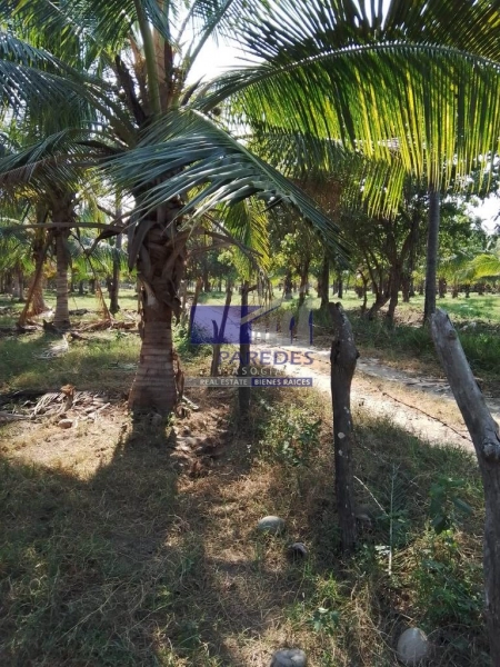 T519 Terreno en venta en Isla de Ixtapa