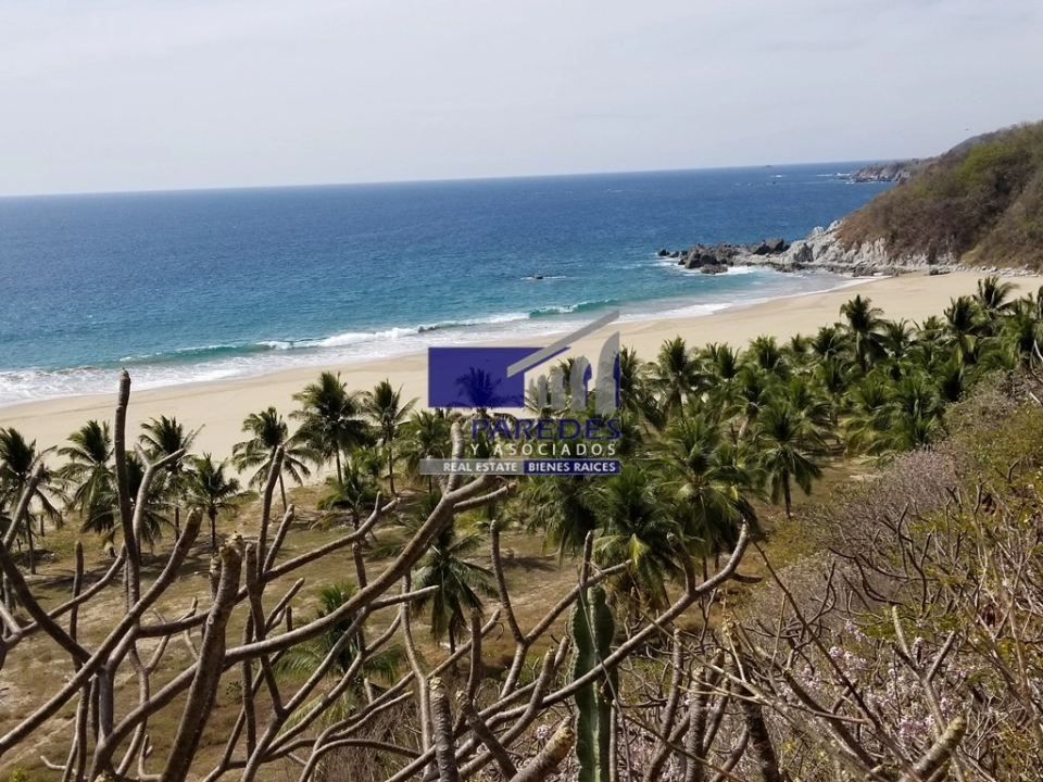 T547 Hectáreas en venta en Playa Larga Ixtapa