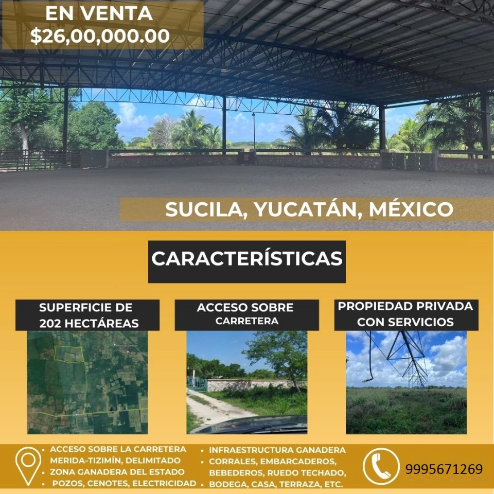 VENTA DE TERRENO EN SUCILA YUCATAN MEXICO 202 HECTAREAS