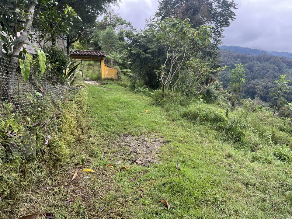 TERRENO CON ACCESO CERCA DEL PUENTE