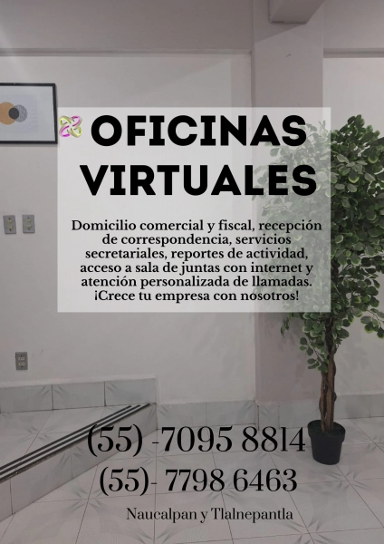 OFICINAS VIRTUALES PROFESIONALES