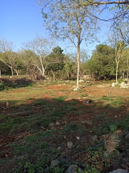 Terreno 526m2 Sitpach junto a Cholul Mérida Yuc suelo mixto