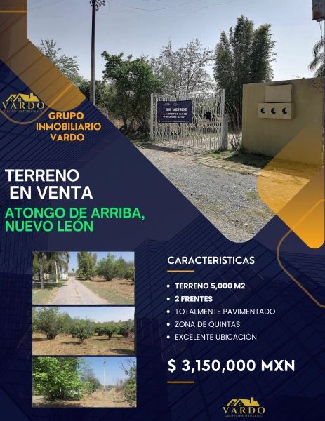 TERRENO IDEAL PARA QUINTA - ATONGO DE ARRIBA, N.L