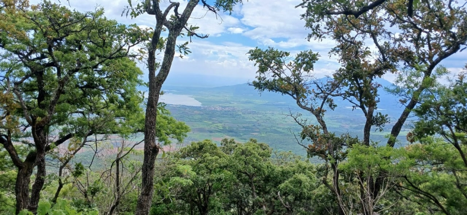 Hermosos terrenos en Reserva de los Encinos