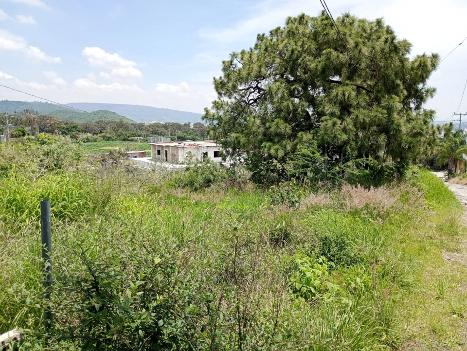 Terreno en Venta en San Agustin Campestre Tlajomulco