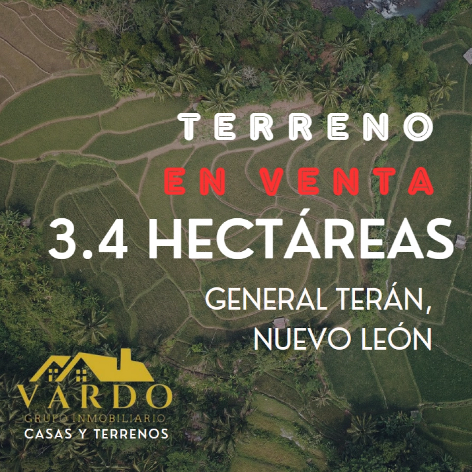 TERRENO EN VENTA - GENERAL TERAN, N.L