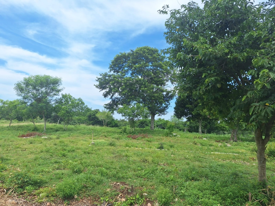 VENTA DE TERRENO EN DZUNUNCAN MERIDA YUCATAN 