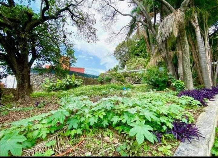 TERRENO EN VENTA EN CUERNAVACA LOMAS DE CORTÉS 1220M