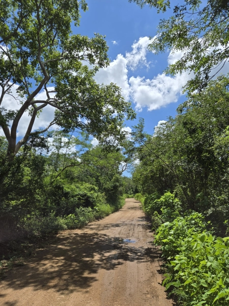 TERRENO UMAN, YUCATAN