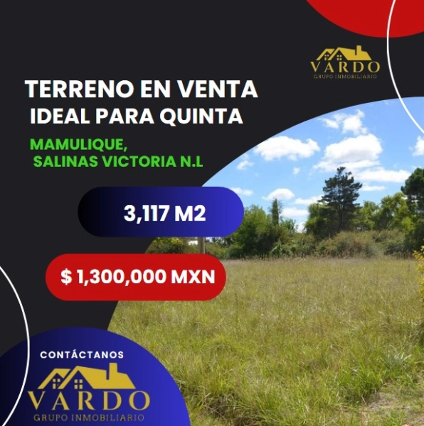 TERRENO EN VENTA - SALINAS VICTORIA, N.L