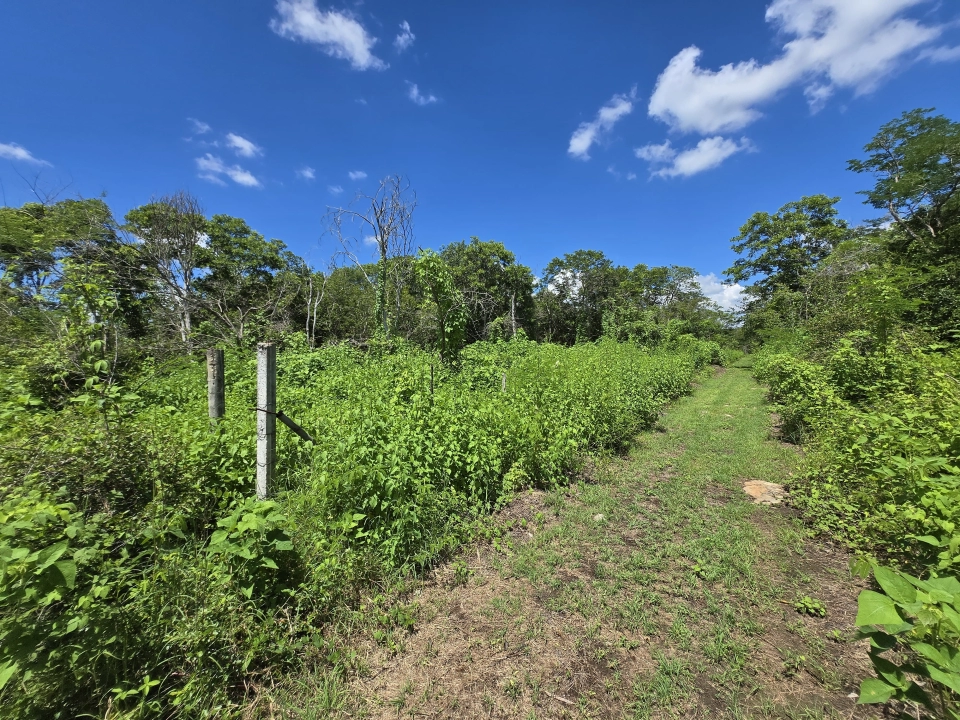 TERRENO EN XTEPEN,UMAN,YUCATAN