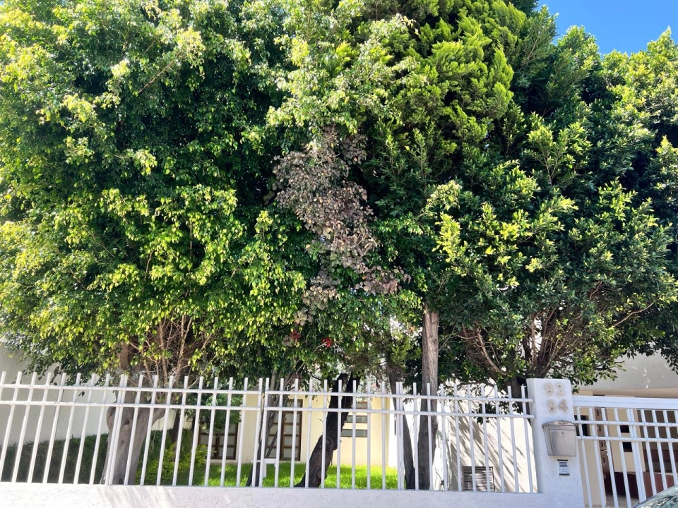 Casa en Renta en San Pedro Cholula 