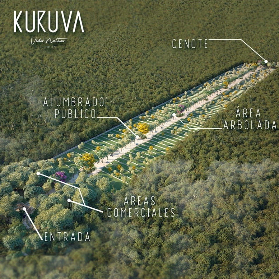 LOTE RESIDENCIAL EN TULUM DE ALTA PLUSVALÍA