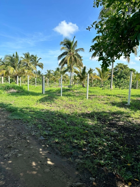 TERRENO VENTA CAZONES DE HERRERA VERACRUZ