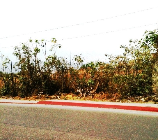 TERRENO SOBRE AVENIDA PAR VIAL JIUTEPEC