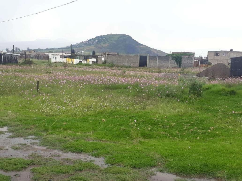 TERRENO VENTA LA CANDELARIA TLAPALA CHALCO