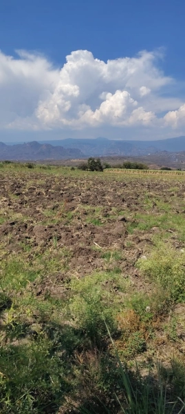 Terreno en Yautepec Mor 